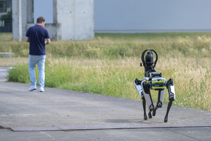Roboazor, aport! Firma z USA szuka chętnych do wyprowadzania psów-robotów